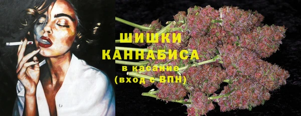 крисы Абдулино