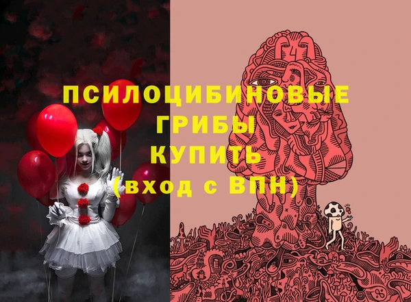 гидропоника Алзамай