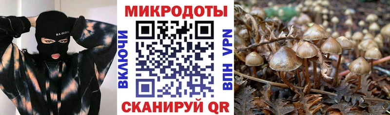 Галлюциногенные грибы MAGIC MUSHROOMS  наркотики  ссылка на мегу зеркало  Вихоревка 